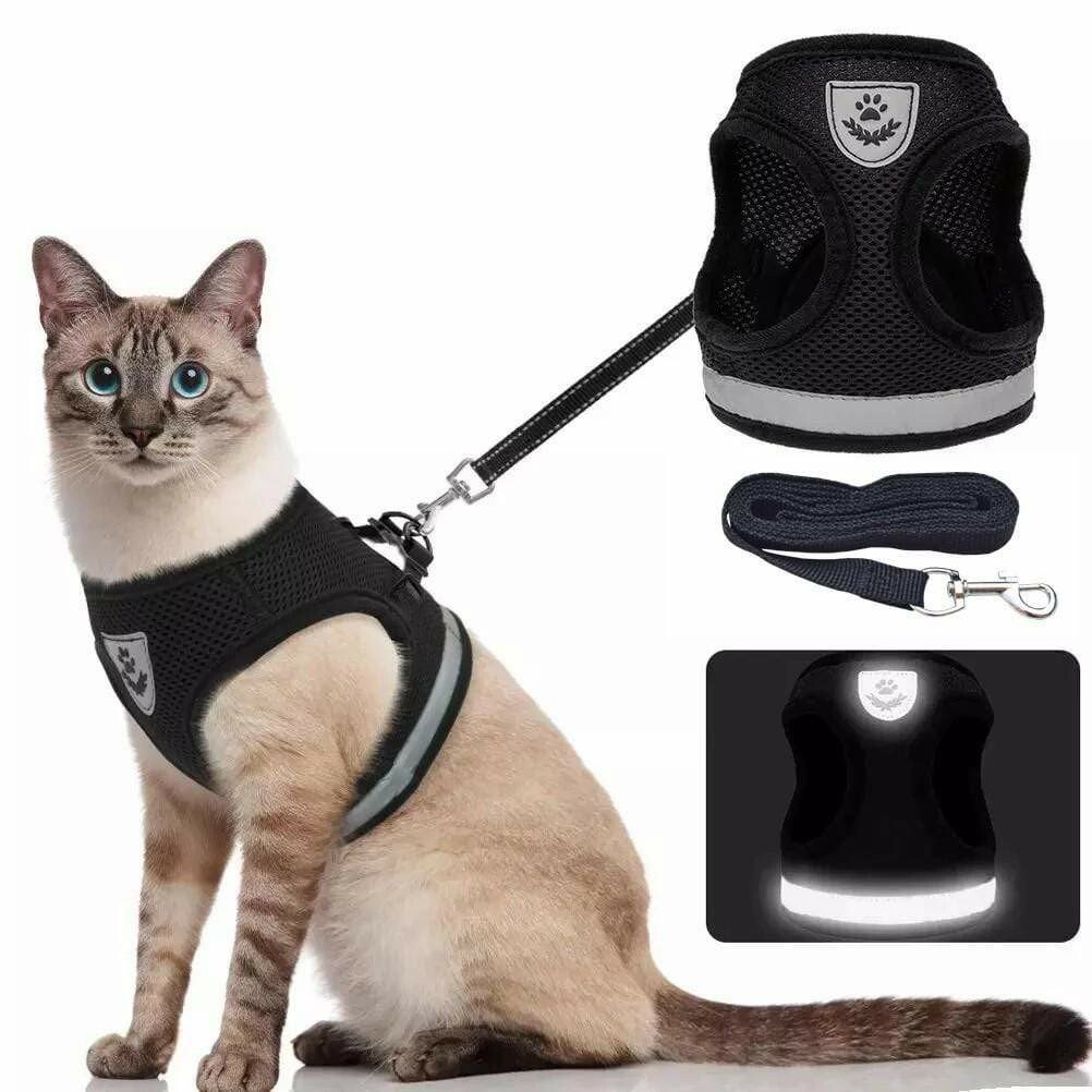 🔥50% OFF🔥Adjustable Breathable Pet Harness